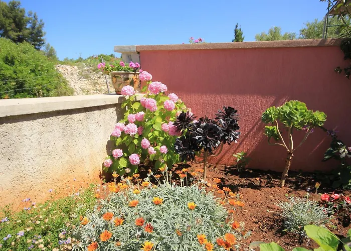 Apartment 8069a